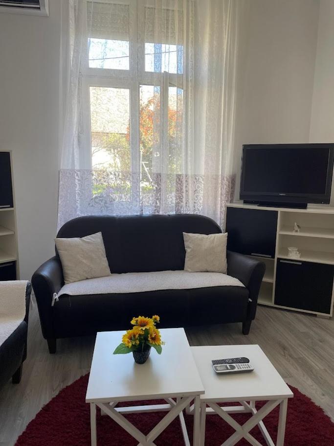 Apartment Milijana Subotica Eksteriør billede