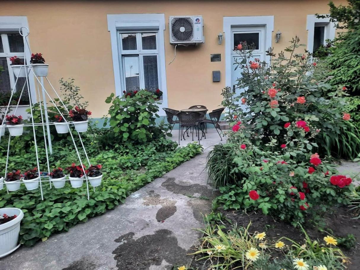 Apartment Milijana Subotica Eksteriør billede